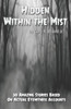 Hidden Within The Mist