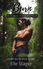 Burn: A Fated Mates Novella (MM)