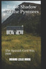 In the Shadow of the Pyrenees: The Spanish Civil War, 1936