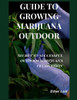 Guide to growing marijuana outdoor: Secret to successful outdoor marijuana cultivation