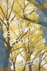 The Summer Ends: poems by Peter Joseph Gay - August & September 2023