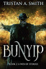A Web Of Stories: Large Print Edition (Bunyip)