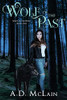 Wolf Of The Past (Spirit Of The Wolf)