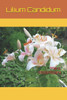 Lillium candidum