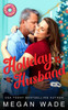 Holiday Husband: a BBW Christmas Romance