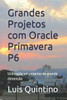 Grandes Projetos com Oracle Primavera P6: UtilizaÃ§Ã£o em projetos de grande dimensÃ£o