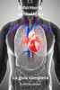 Enfermería cardiológica - La guía completa