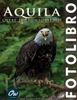 Aquila: Fotolibro