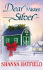 Dear Mister Silver: A Sweet Small-Town Holiday Romance