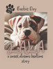 lala: a sweet dreams bedtime story