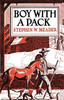 Boy With A Pack