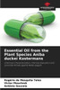 Essential Oil from the Plant Species Aniba duckei Kostermans