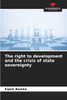 The right to development and the crisis of state sovereignty