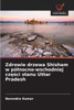 Zdrowie drzewa Shisham w pólnocno-wschodniej części stanu Uttar Pradesh