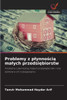 Problemy z plynnością malych przedsiębiorstw