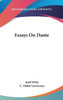 Essays On Dante