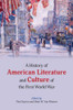 A History Of American Literature And Culture Of The First World War