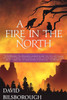 A Fire in the North: Book 2 of the Annals of Lindormyn