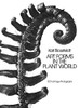 Art Forms In The Plant World: 120 Full-Page Photographs (Dover Pictorial Archive)