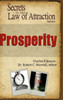 Prosperity - Secrets to the Law of Attraction