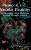 Neuronal and Vascular Plasticity: Elucidating Basic Cellular Mechanisms for Future Therapeutic Discovery