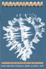 Evolutionary Paleobiology