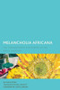 Melancholia Africana (Creolizing the Canon)