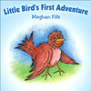 Little Bird's First Adventure