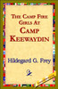 The Camp Fire Girls at Camp Keewaydin