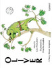 Oliver, A Story About Adoption - Updated
