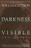Darkness Visible: A Memoir Of Madness