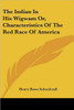 The Indian In His Wigwam Or, Characteristics Of The Red Race Of America