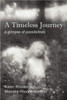 A Timeless Journey: a glimpse of possibilities