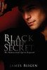 Black Sheep Secret: The Homosexual Spirit Exposed