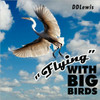 Flying with Big Birds