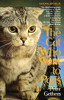 The Cat Who Went To Paris (Norton The Cat)