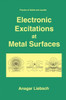 Electronic Excitations at Metal Surfaces
