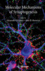 Molecular Mechanisms of Synaptogenesis