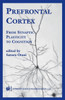 Prefrontal Cortex: From Synaptic Plasticity to Cognition