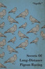 Secrets of Long-Distance Pigeon Racing
