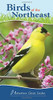 Birds Of The Northeast: Your Way To Easily Identify Backyard Birds (Adventure Quick Guides)