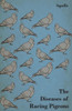 The Diseases of Racing Pigeons