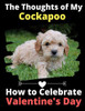 The Thoughts of My Cockapoo: How to Celebrate Valentine's Day