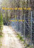 Mystery of the Walls