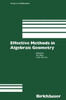 Effective Methods in Algebraic Geometry