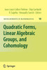 Quadratic Forms, Linear Algebraic Groups, and Cohomology