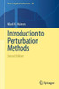 Introduction to Perturbation Methods