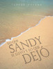 Lo Que Sandy Se Llevo y Lo Que Dejo