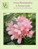 Vireya Rhododendron A Picture Guide: How I Grow Vireya In My Hawaii Garden