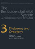 Phylogeny and Ontogeny